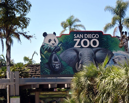 San Diego Zoo Is Near Our Vacation Home Rentals in San Diego, CA - Mission Beach Vacation Rentals